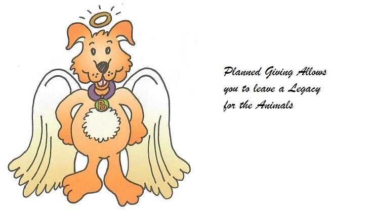 Giving RustyAngel